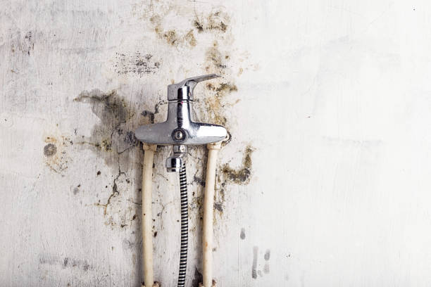 Best Emergency Mold Removal  in Guernsey, WY