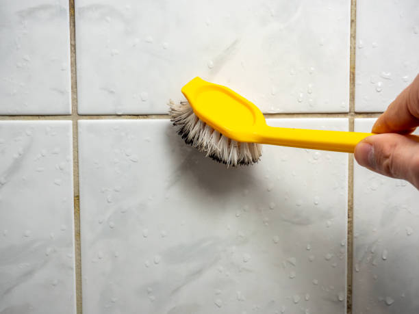 Best Mold Remediation Experts  in Guernsey, WY