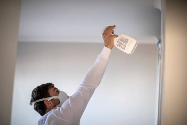 Professional Mold Removal in Guernsey, WY