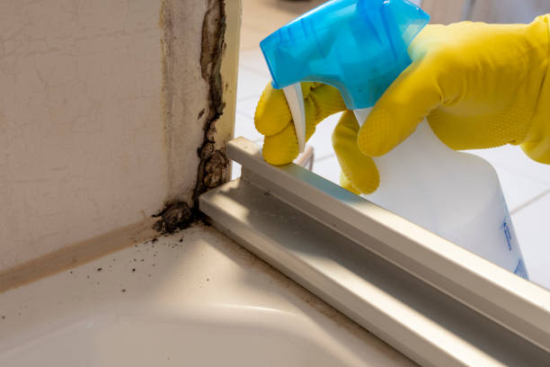Best Office Mold Removal Services  in Guernsey, WY