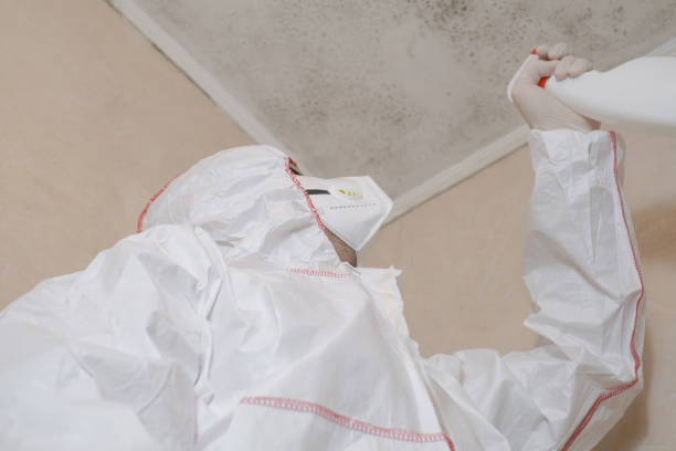 Best Residential Mold Removal  in Guernsey, WY